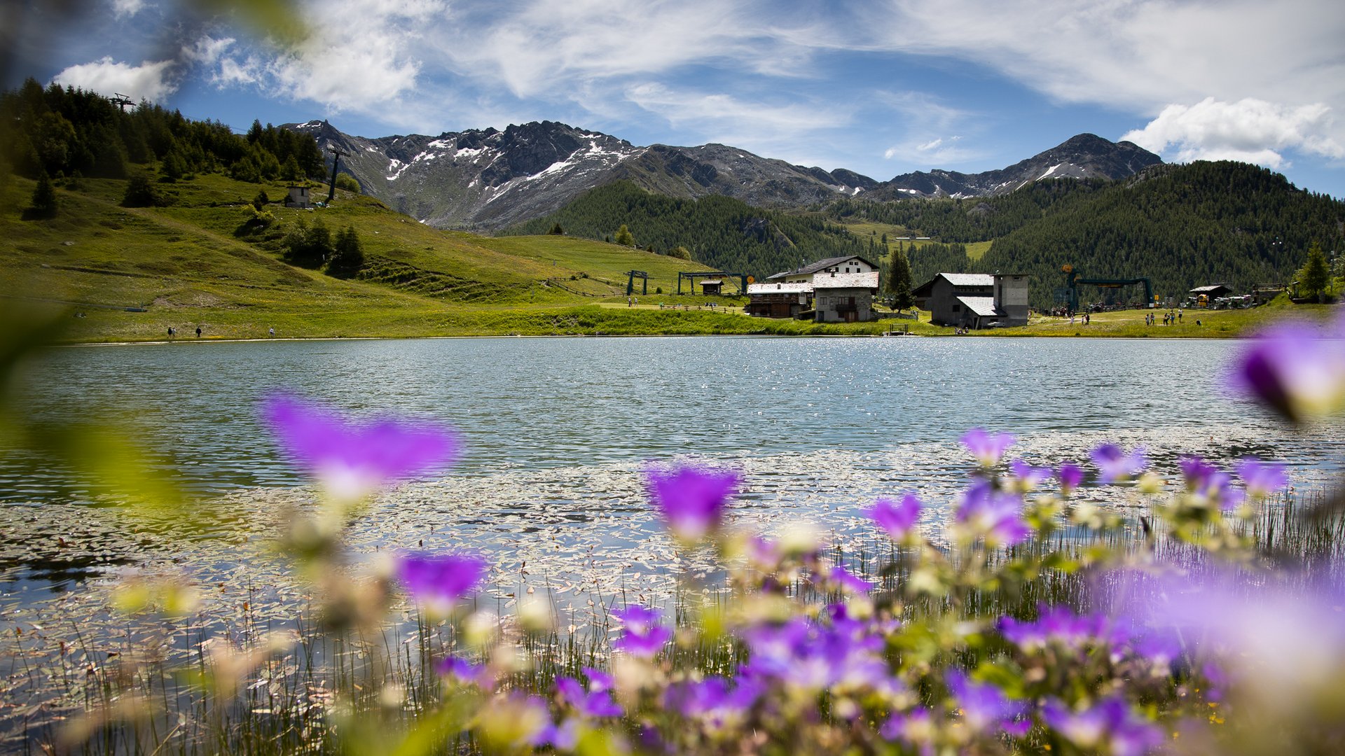 Sanfter Ökotourismus in den Alpen in Bildern