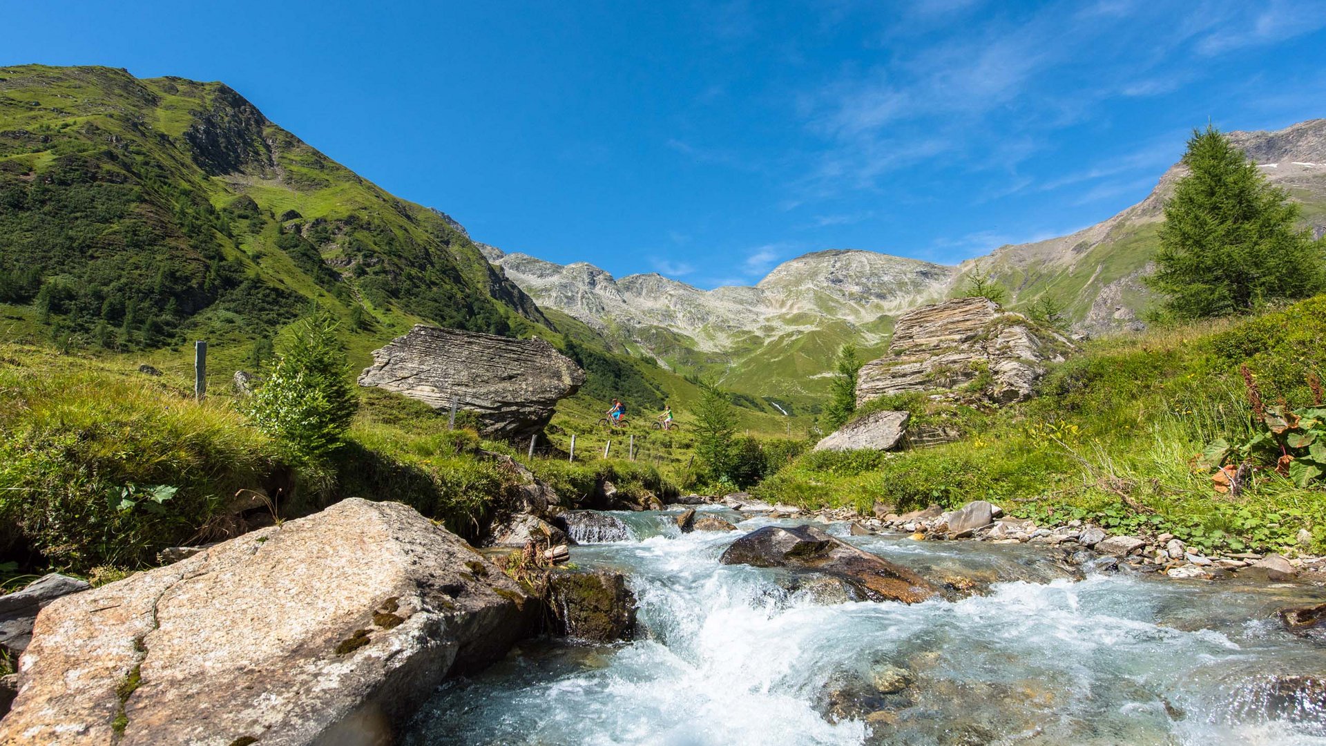 Sanfter Ökotourismus in den Alpen in Bildern