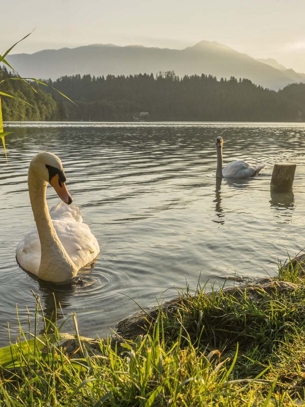 Urlaub ohne Auto in Slowenien