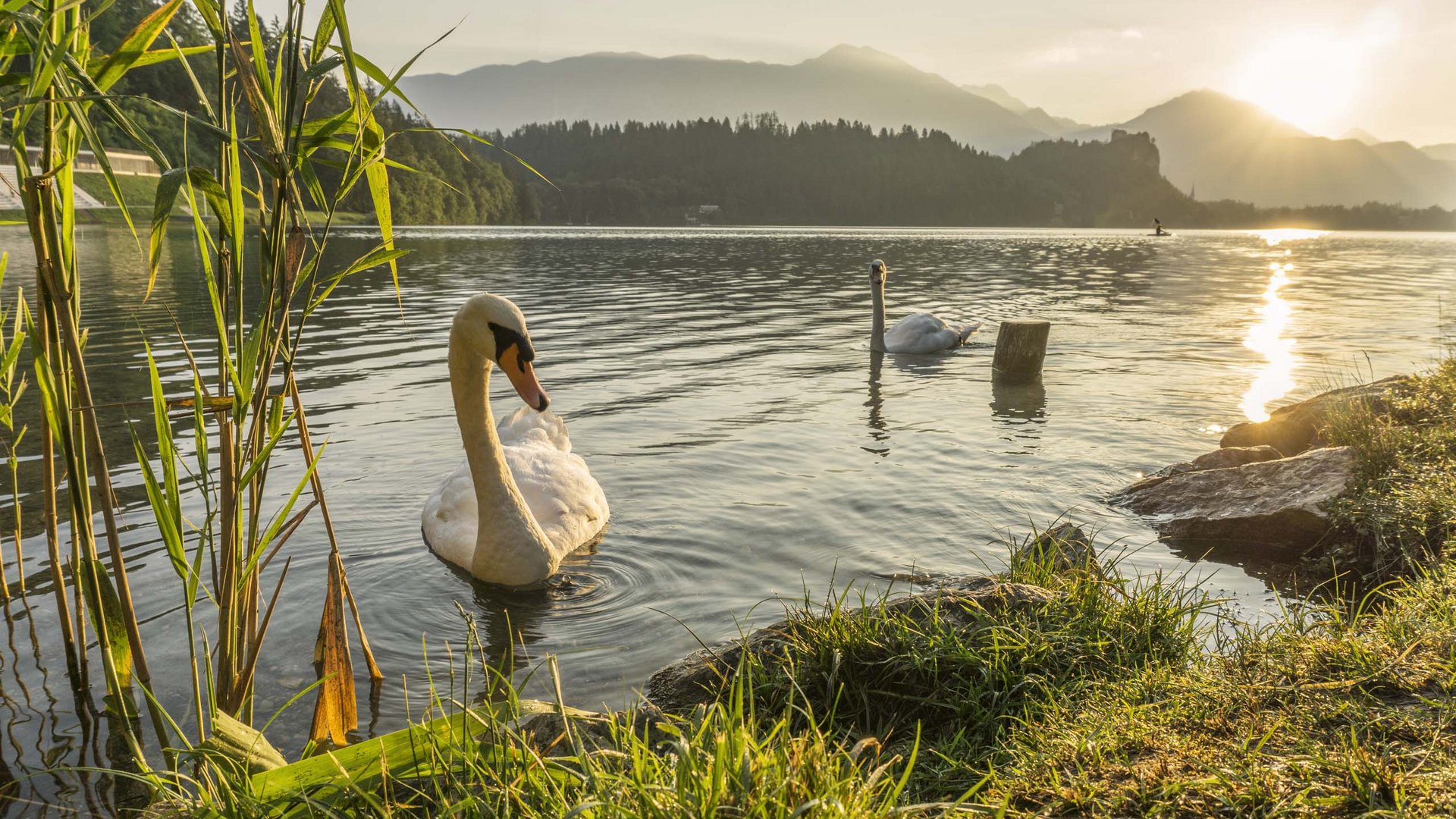 Pictures of gentle eco-tourism in the Alps