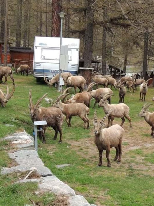 Un "piccolo paradiso" a Ceresole Reale