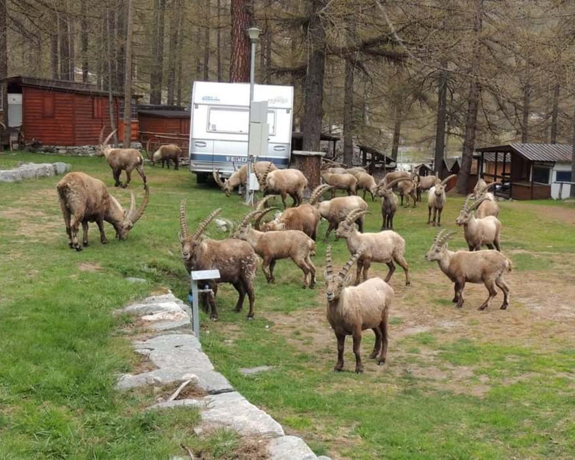 Un "piccolo paradiso" a Ceresole Reale