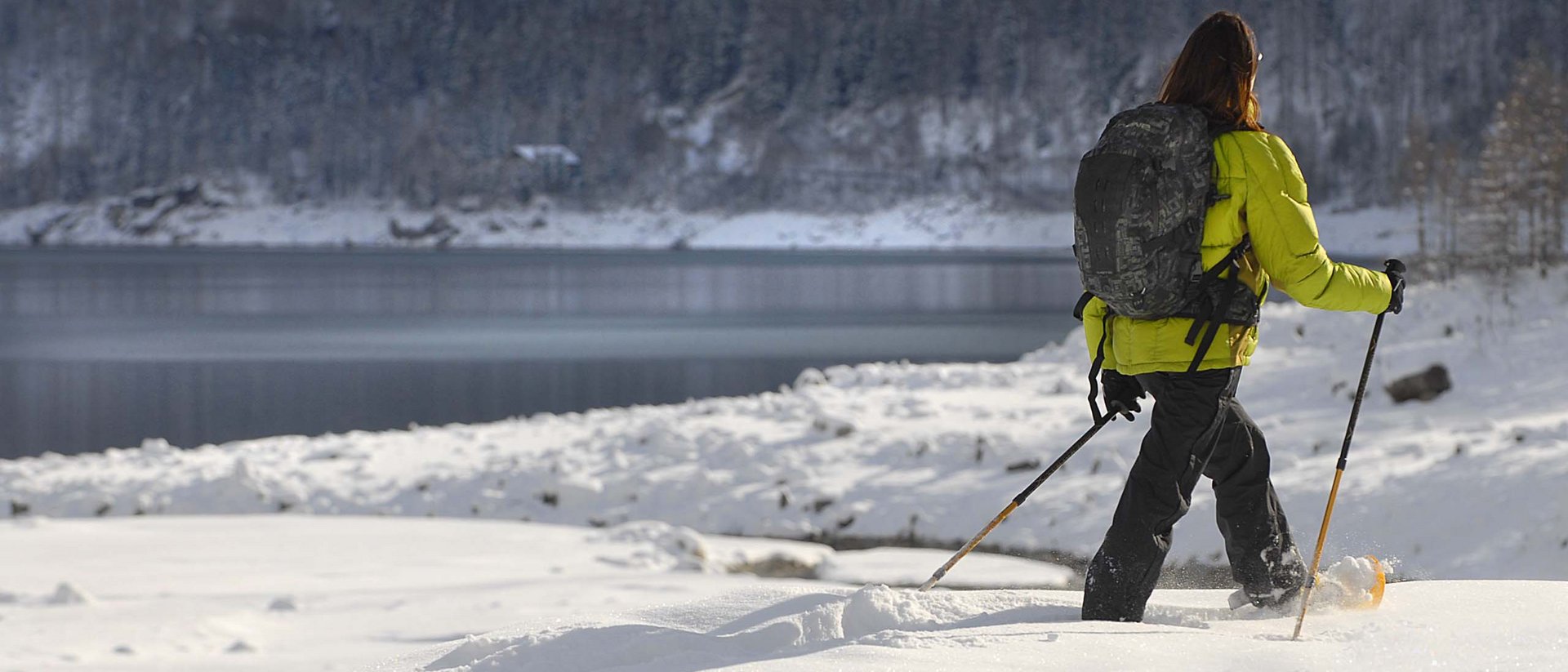 Ceresole Reale, il regno dello stambecco