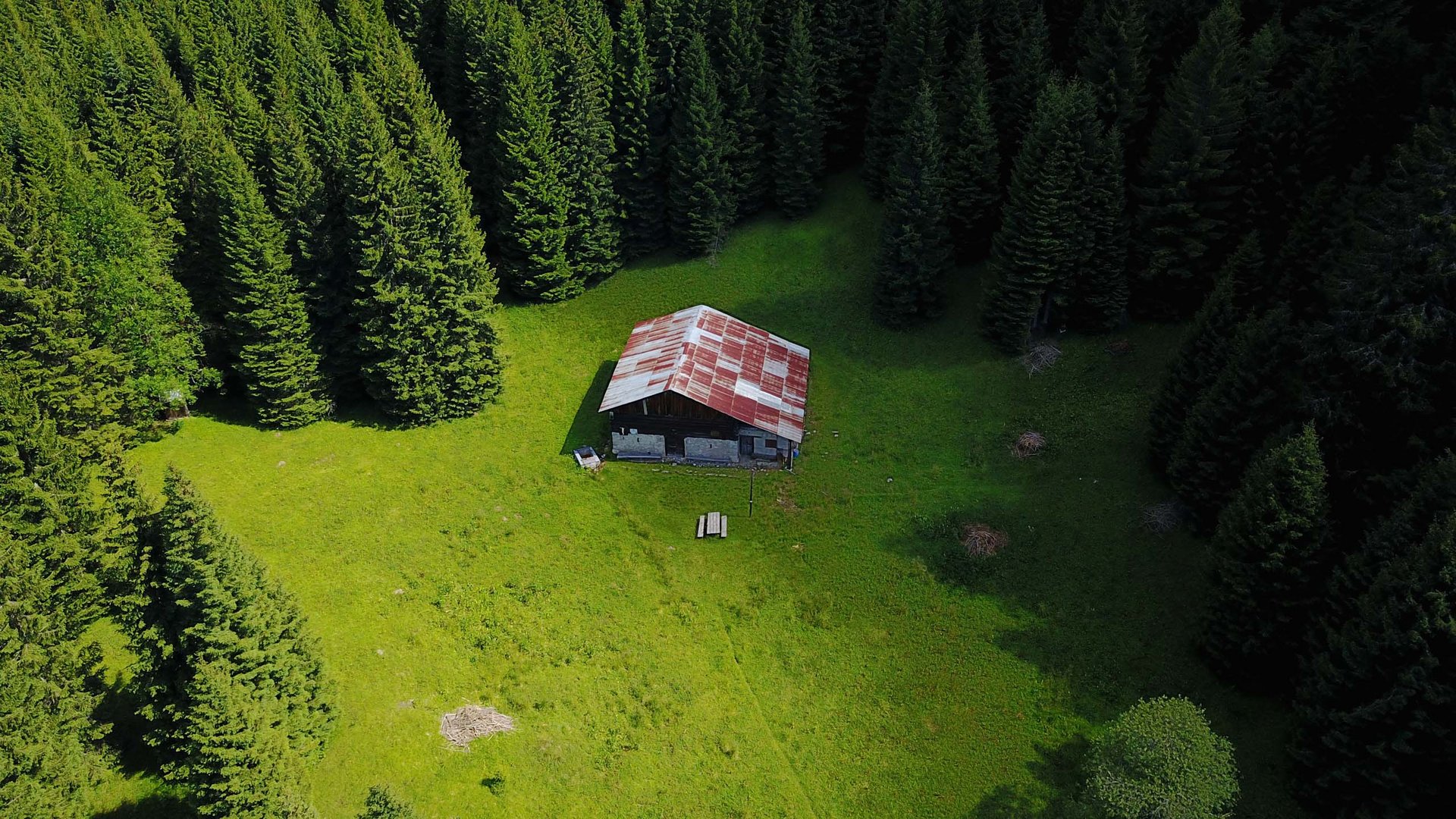 Pictures of gentle eco-tourism in the Alps