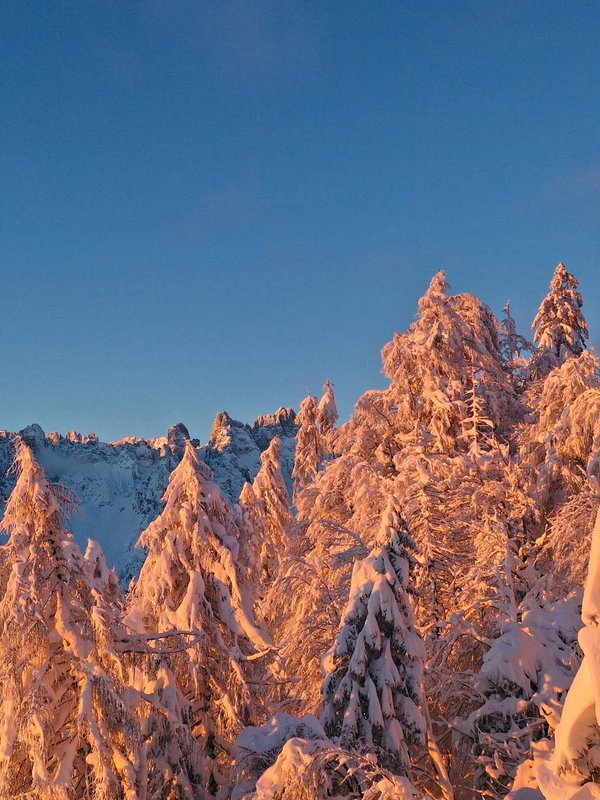 Forni di Sopra, gioiello della natura