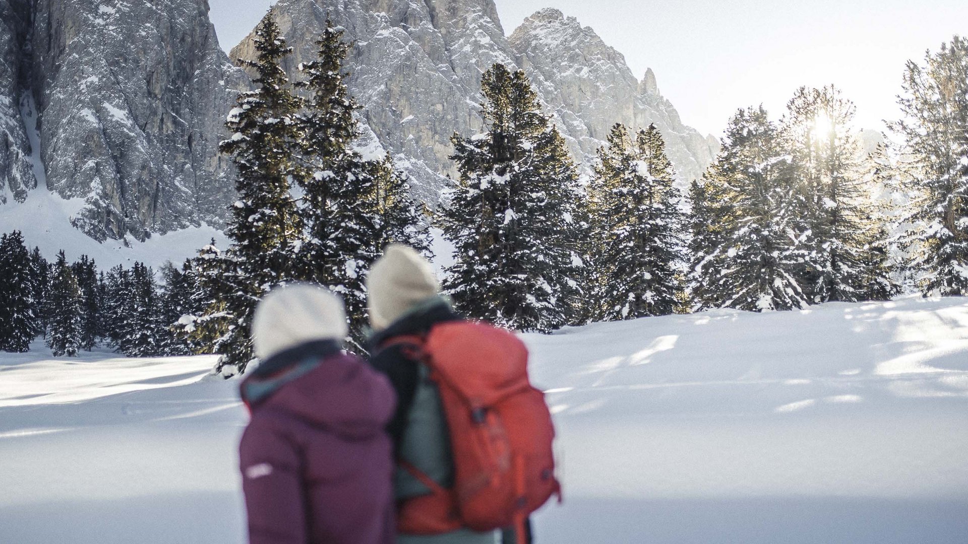 Pictures of gentle eco-tourism in the Alps