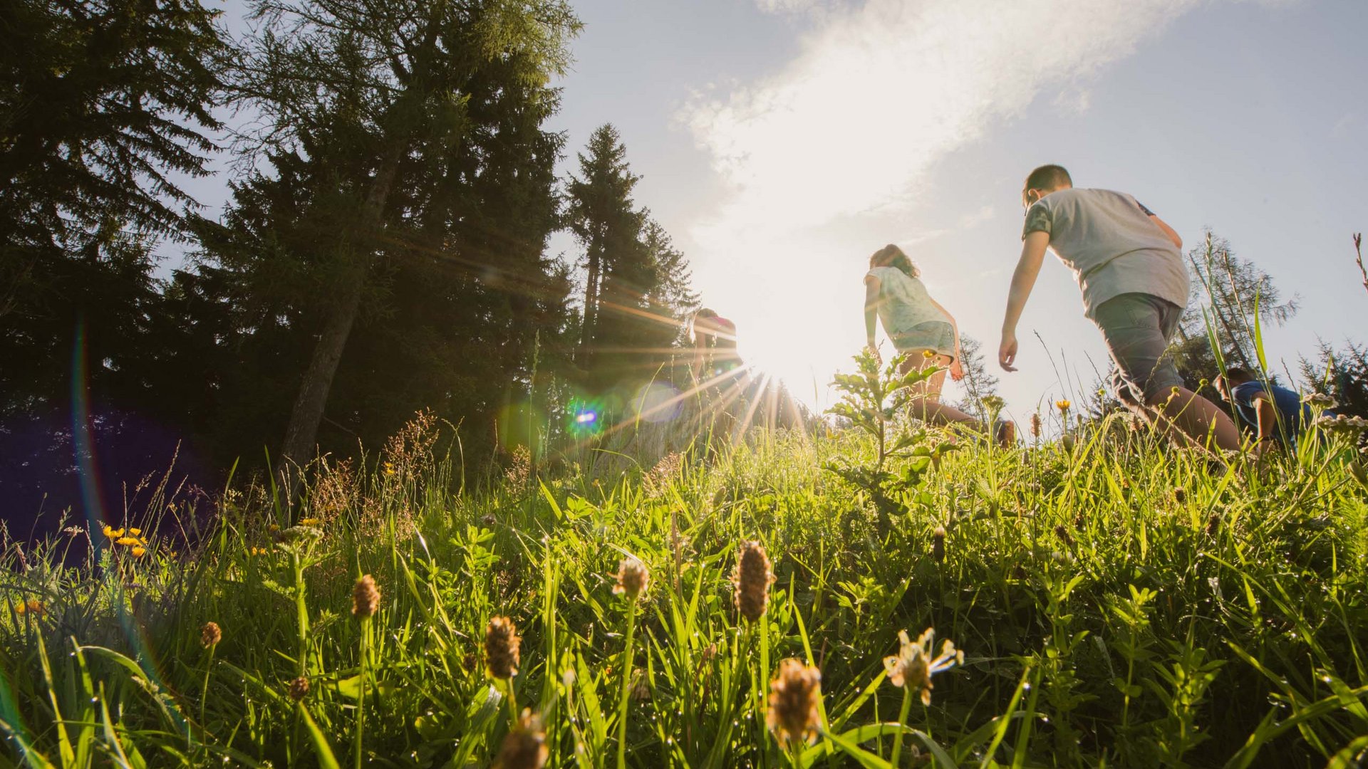 Sanfter Ökotourismus in den Alpen in Bildern