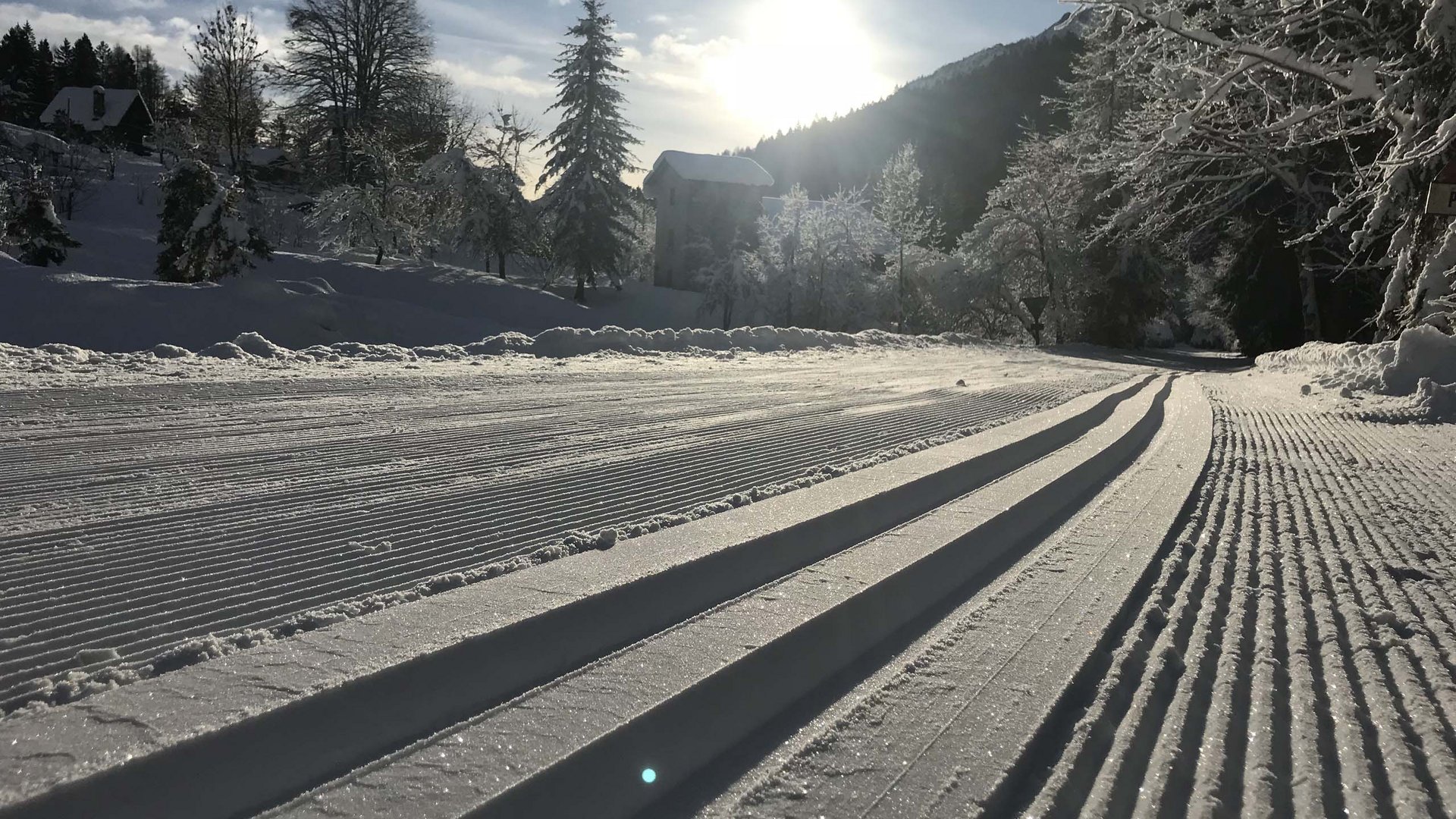 Pictures of gentle eco-tourism in the Alps