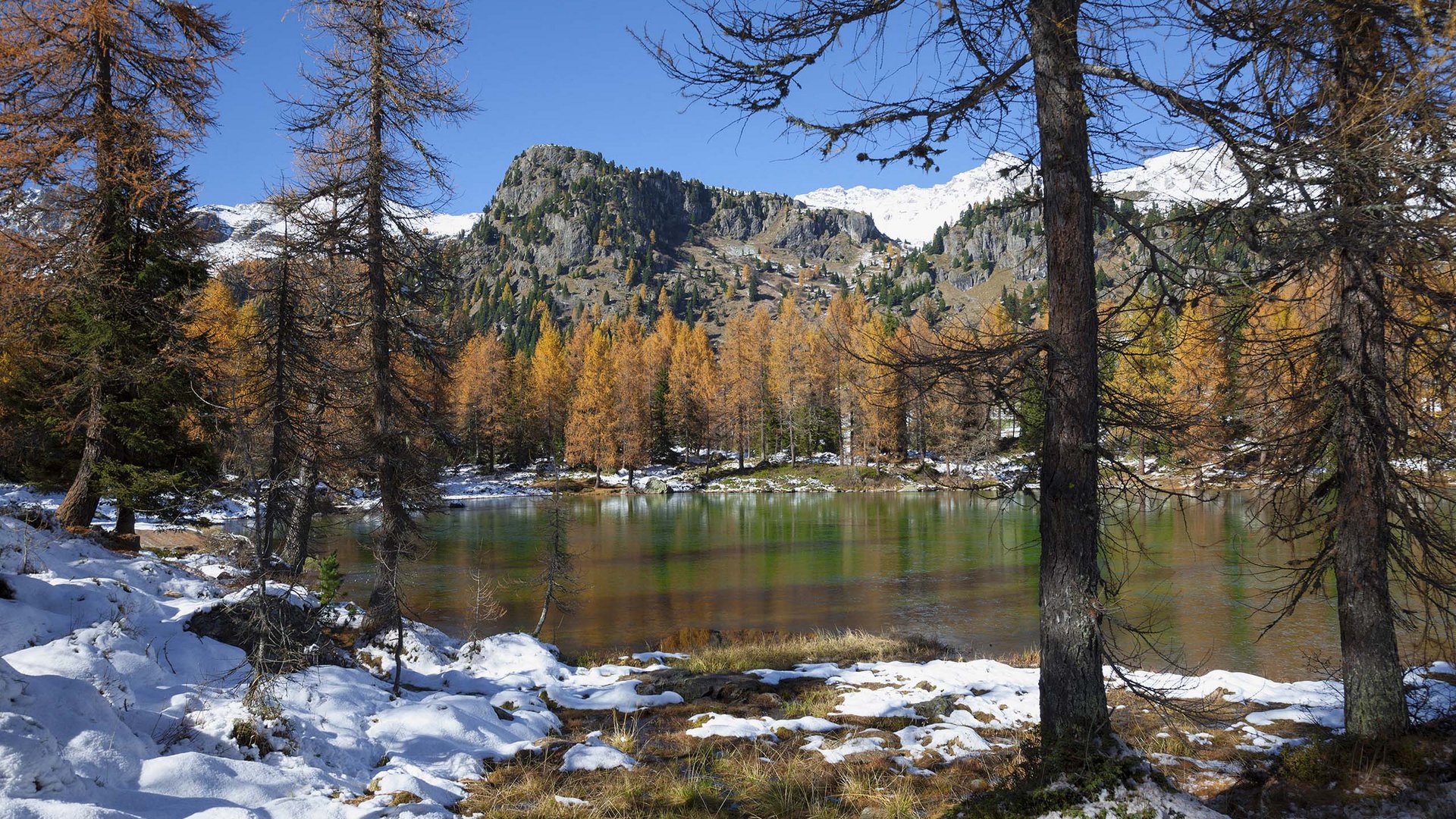 Pictures of gentle eco-tourism in the Alps