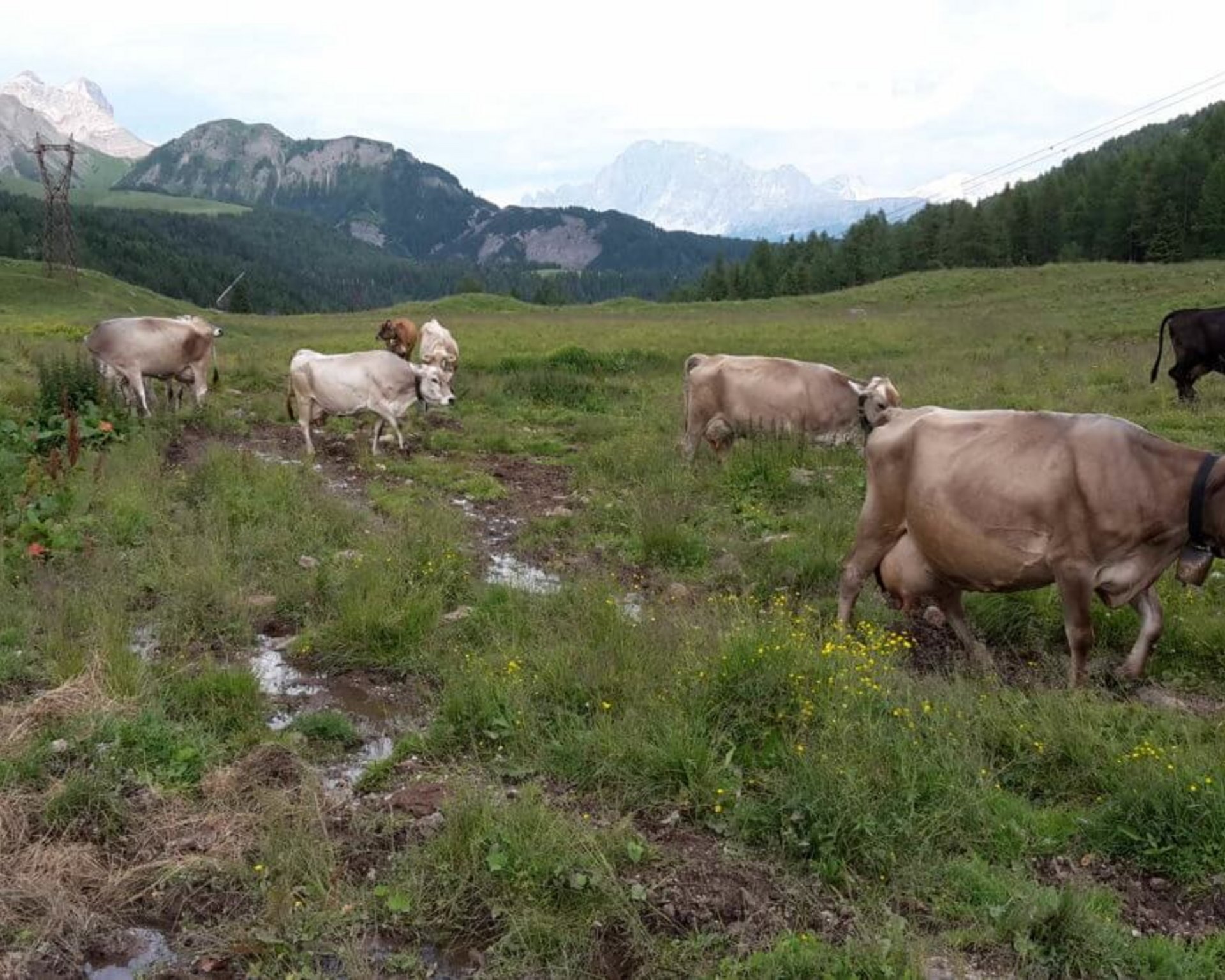 Moena magica, tra laghi incantati e vita contadina