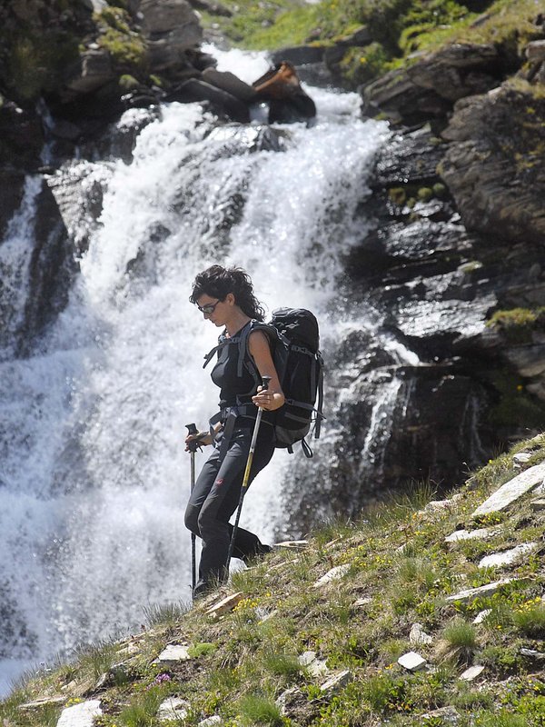 Ceresole Reale, il regno dello stambecco